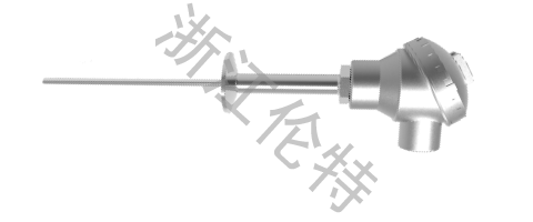 衛(wèi)生型熱電阻溫度計(jì)