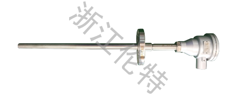 Flange Fixed Thermocouple and RTD