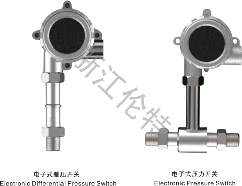 電子式溫度、 壓力（差壓）開(kāi)關(guān)
